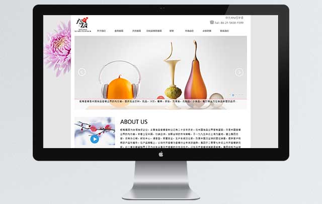 上海香精有限公司 网站设计